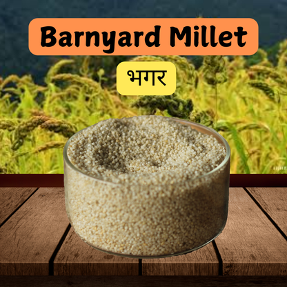 Buy Barnyard Millet Online - High Fiber, Iron, Calcium & Nutrient-Rich Grain