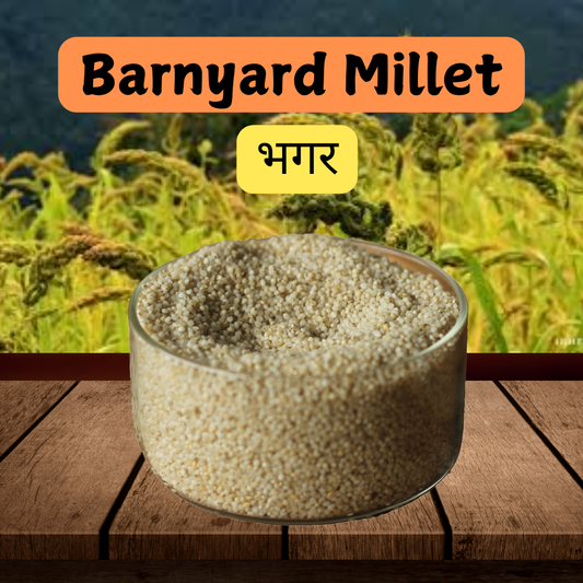 Buy Barnyard Millet Online - High Fiber, Iron, Calcium & Nutrient-Rich Grain