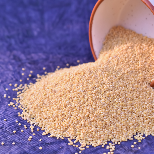 Buy Foxtail Millet Online - Gluten-Free, High Fiber, Protein-Rich Superfood