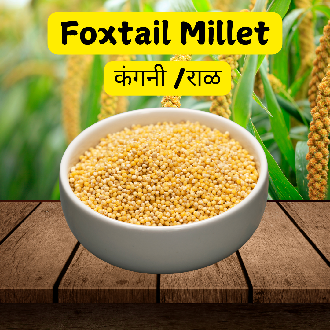 Buy Foxtail Millet Online - Gluten-Free, High Fiber, Protein-Rich Superfood