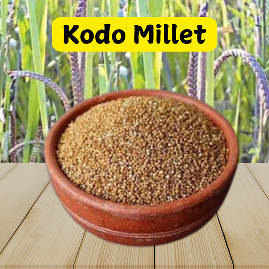 Buy Kodo Millet Online - Gluten-Free, High Fiber, Protein-Packed Superfood