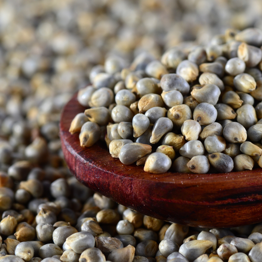 Buy Pearl Millet Online - High Fiber, Gluten-Free, Iron-Rich Superfood