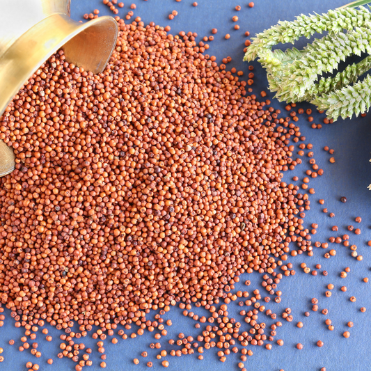 Buy Ragi (Finger Millet) Online in India - Affordable & Healthy