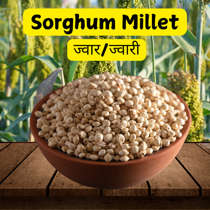 Buy Sorghum Millet Online in India - High Fiber & Affordable